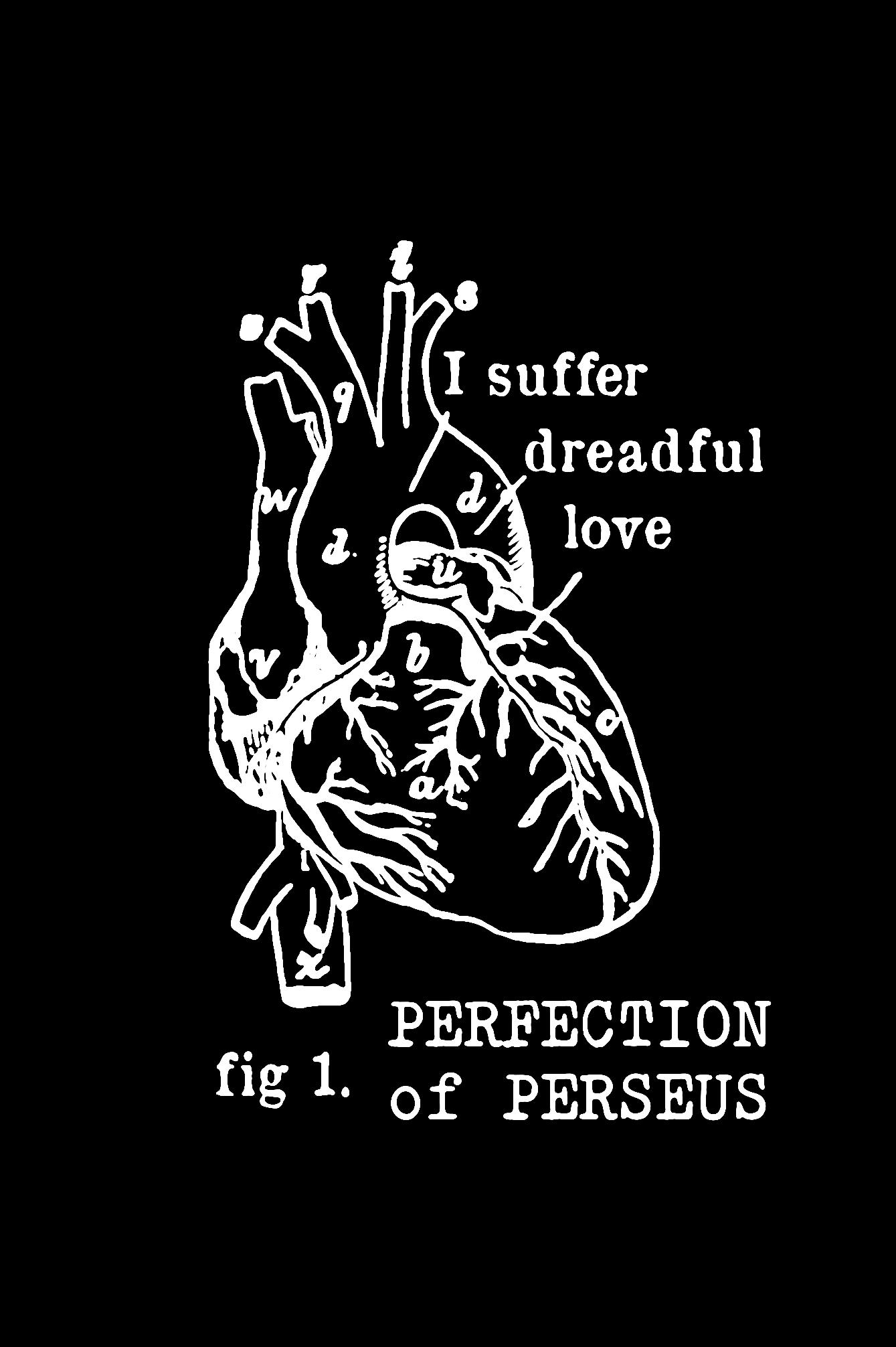 Perfection of Perseus